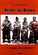 :::  teste di rame:cc3a3651-b0b3-4ad4-b7ee-d704a8854c7f.jpg